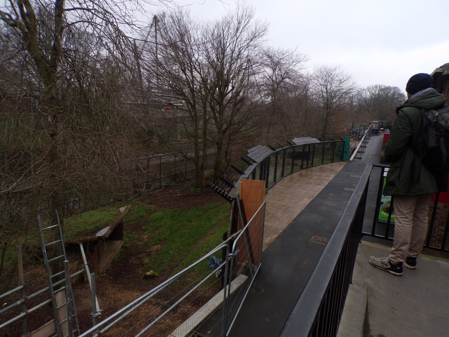 Construction work on former African wild dog enclosure 11.2.25