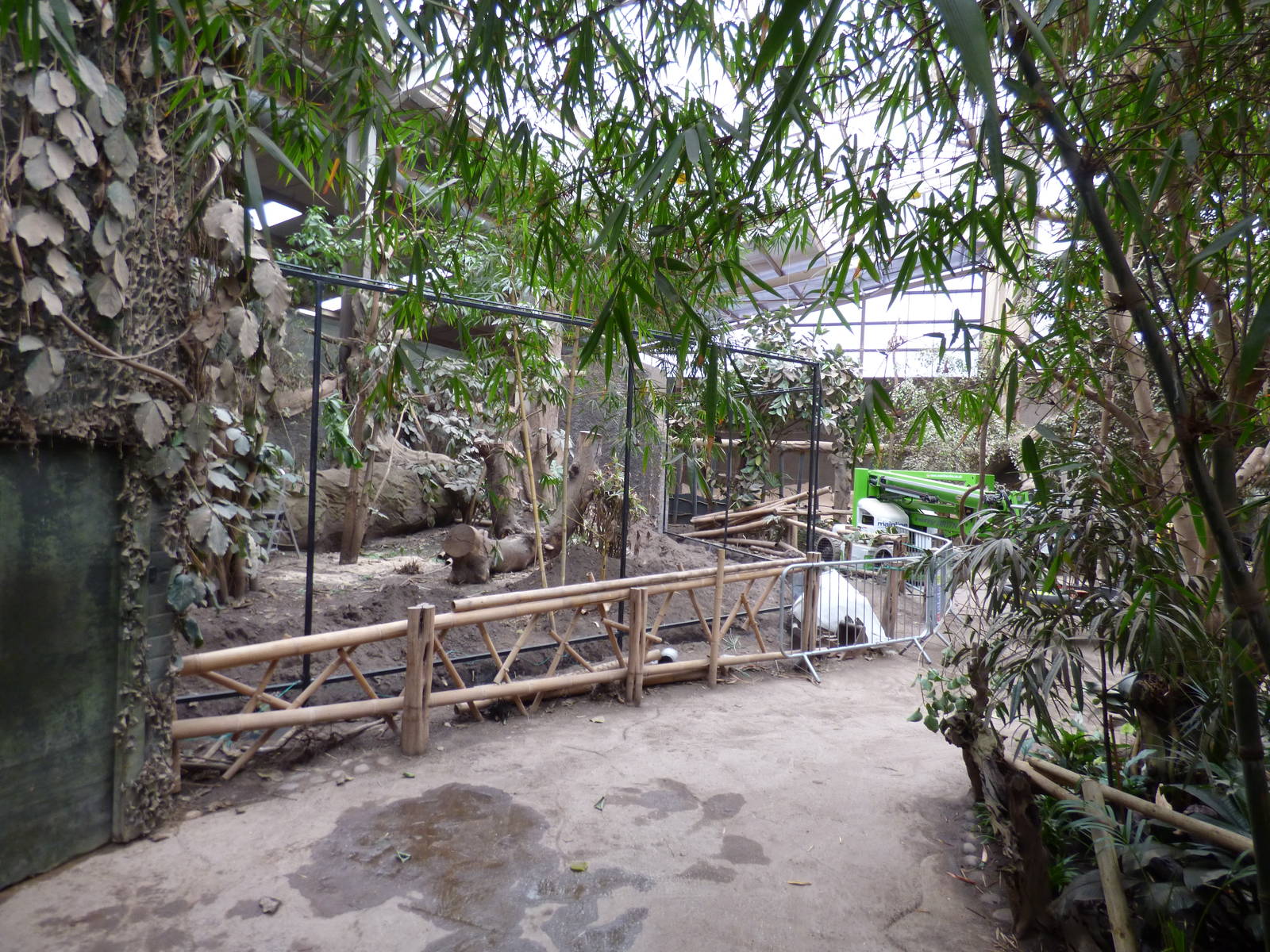 Construction work on former hornbill aviary in Elephant house