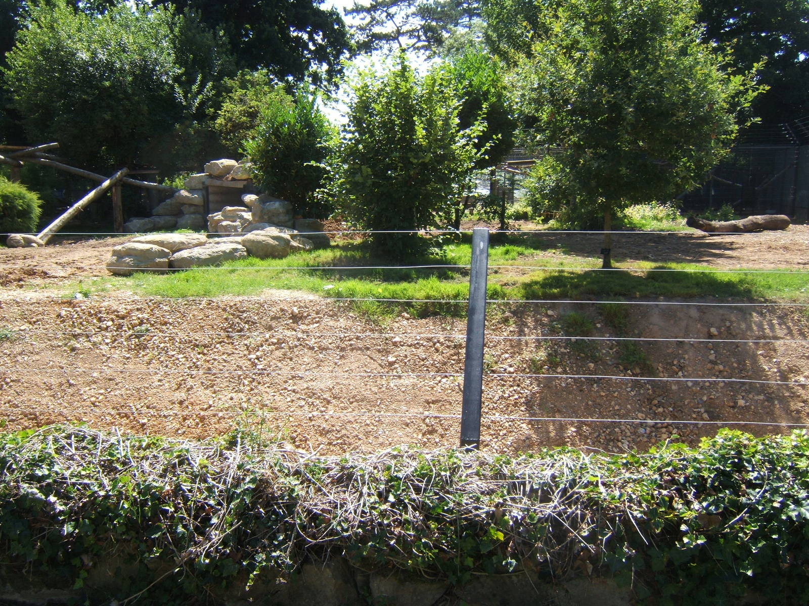 Construction work on old Lynx enclosure