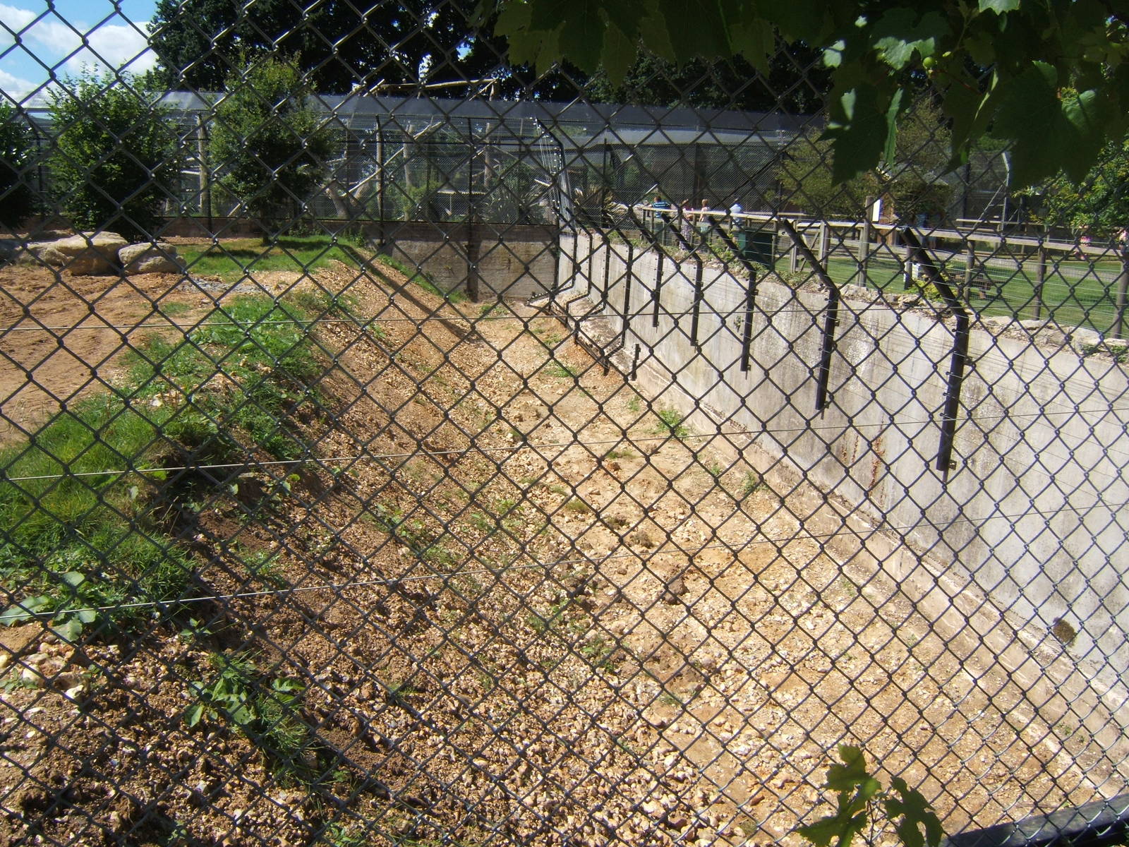 Construction work on old Lynx enclosure