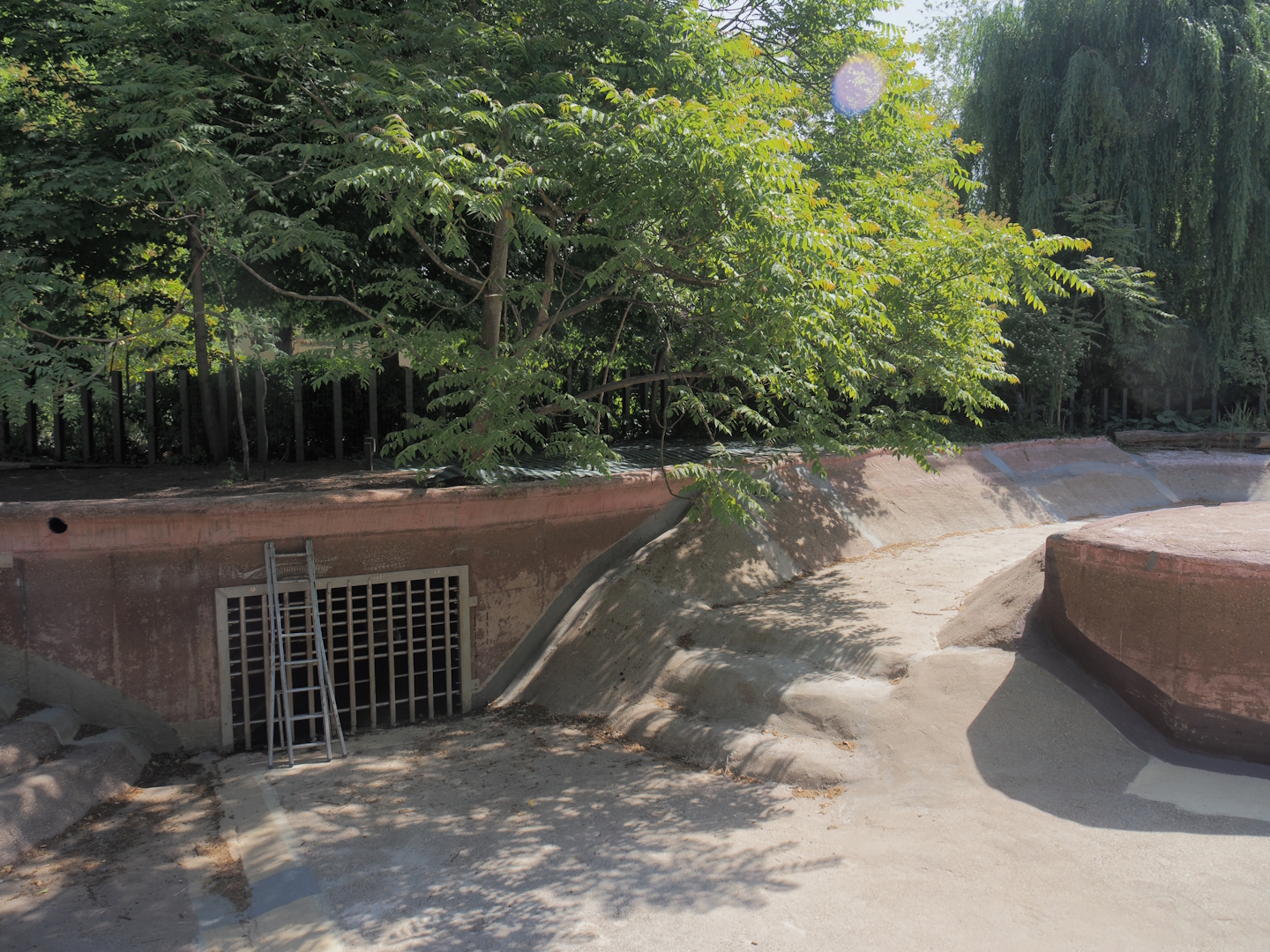 Construction work to transform the former hippopotamus exhibit into exhibits for pygmy hippopotamuses, 2025-05-14