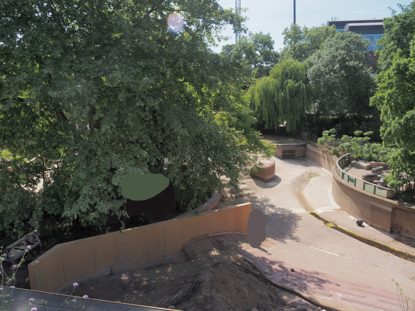 Construction work to transform the former hippopotamus exhibit into exhibits for pygmy hippopotamuses, 2025-05-14