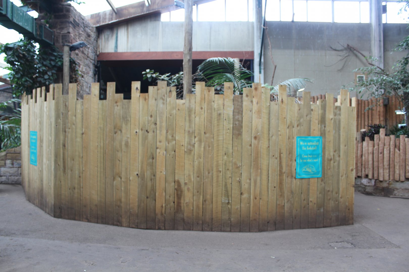 Construction work, Tropical House 19th April 2022