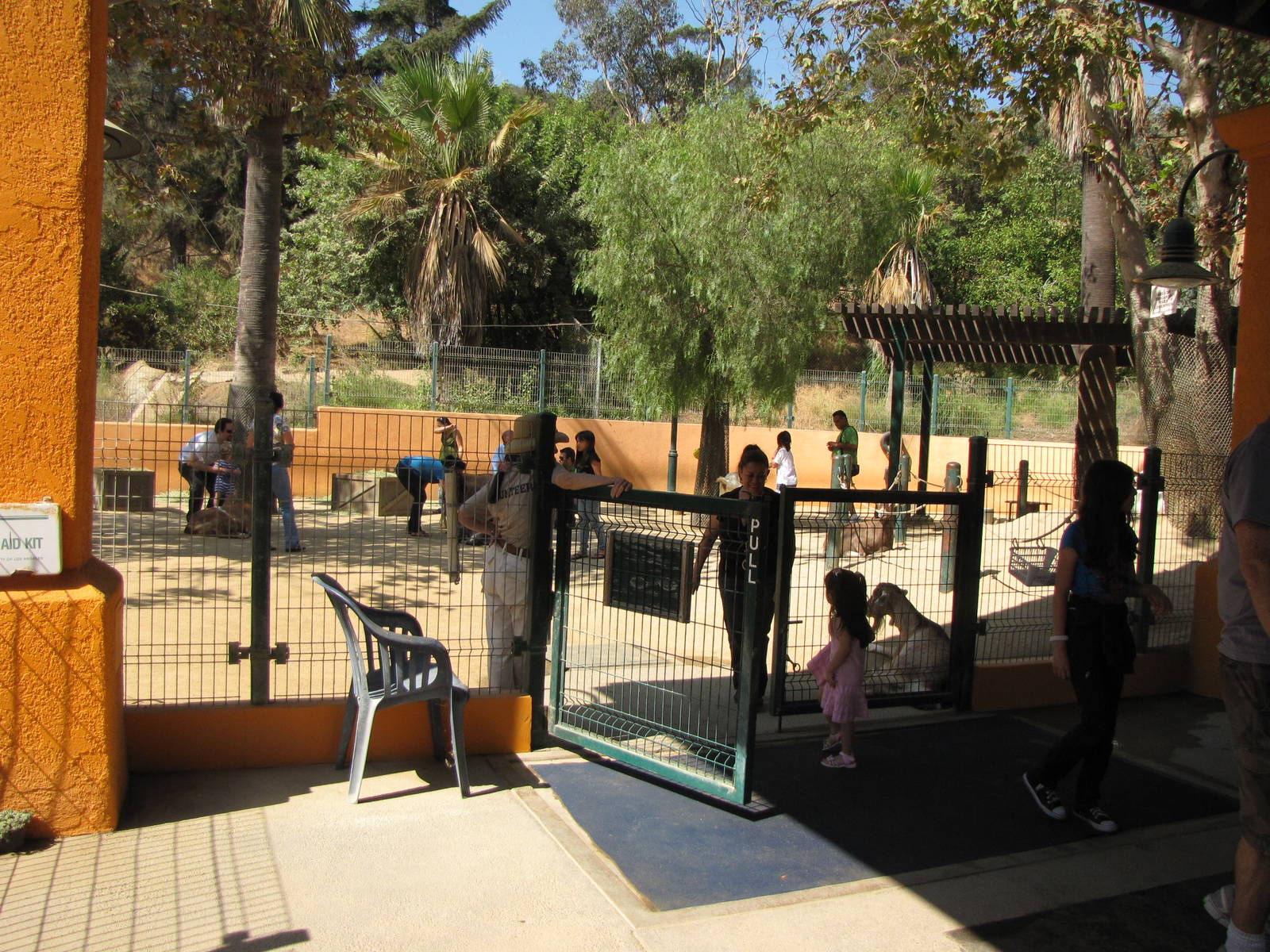 Contact Petting Area - Children's Zoo