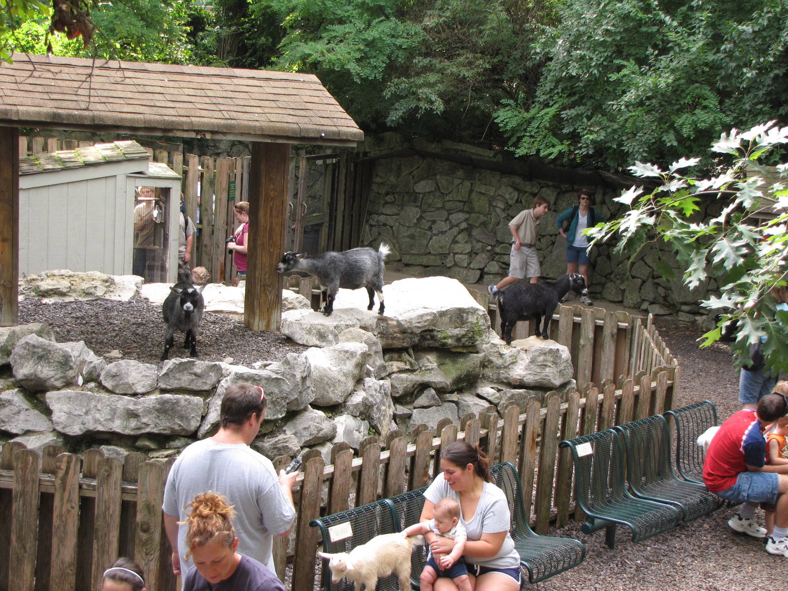 Contact Petting Area