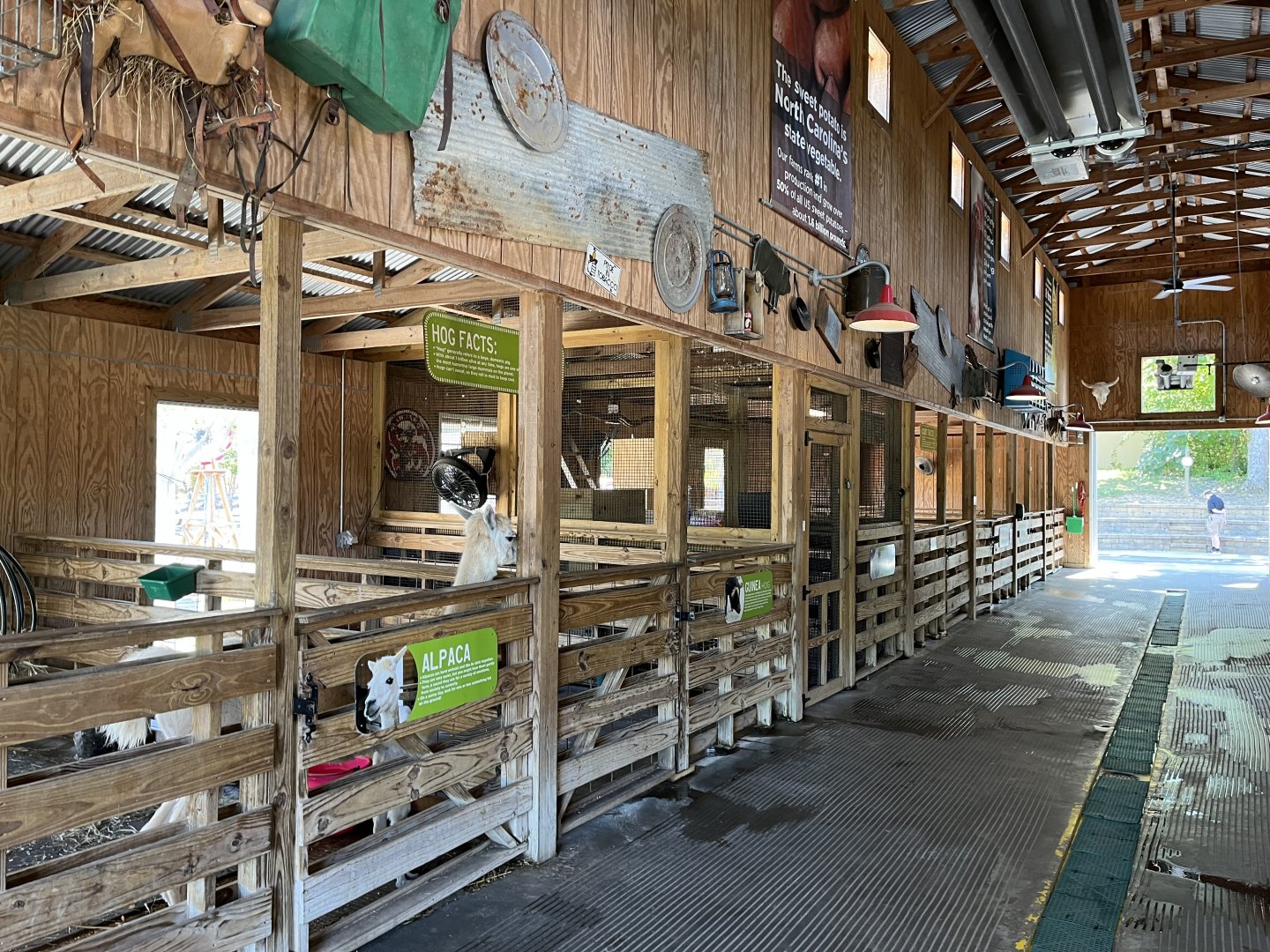Contact Yard Barn: Sheep, Goat, Alpaca, and Pig Stalls