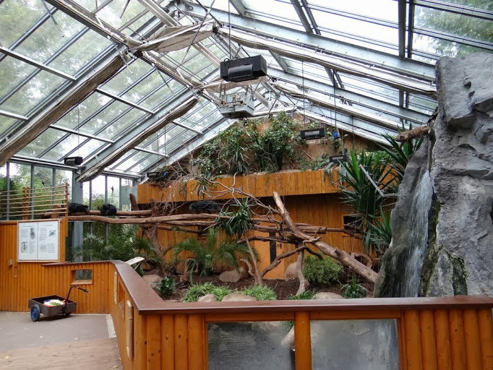 Container of Arctictis binturong
