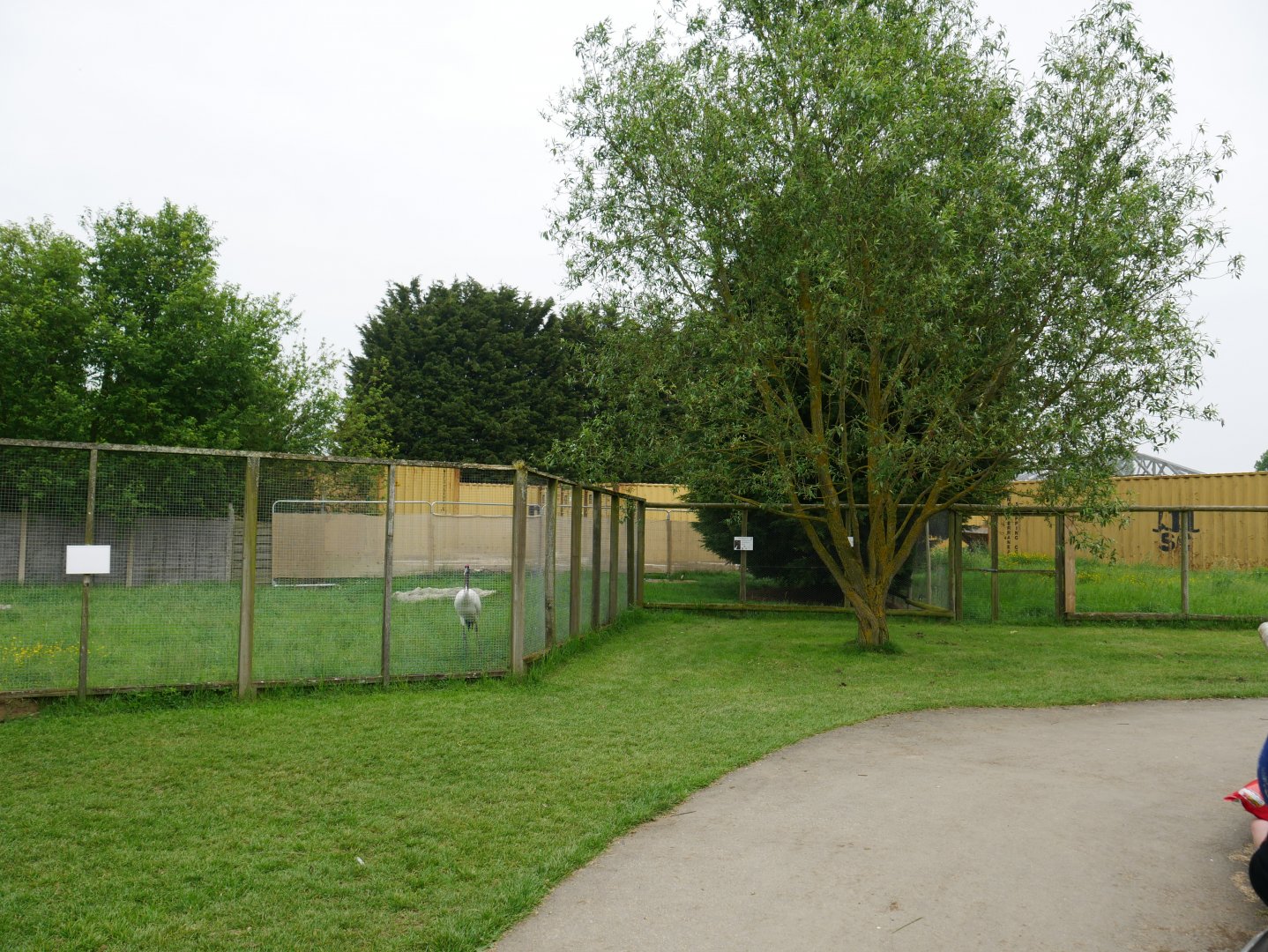 Containers for new enclosure?