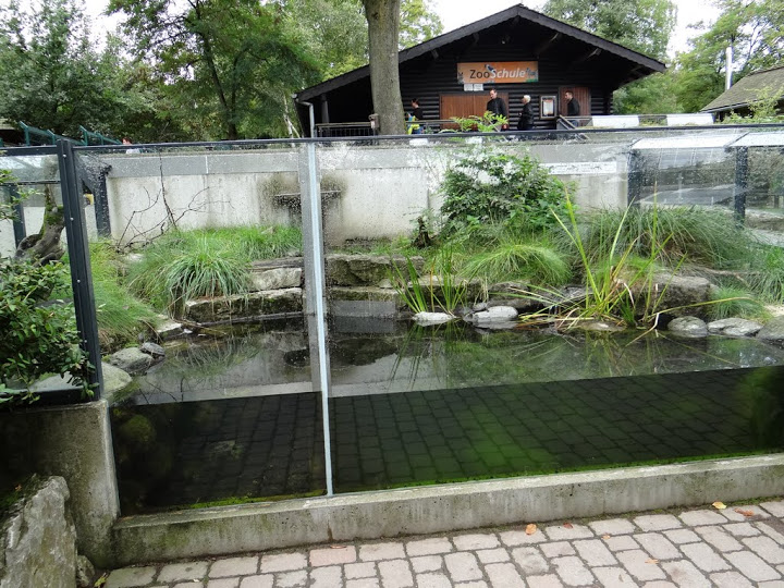 Containers of Emys orbicularis