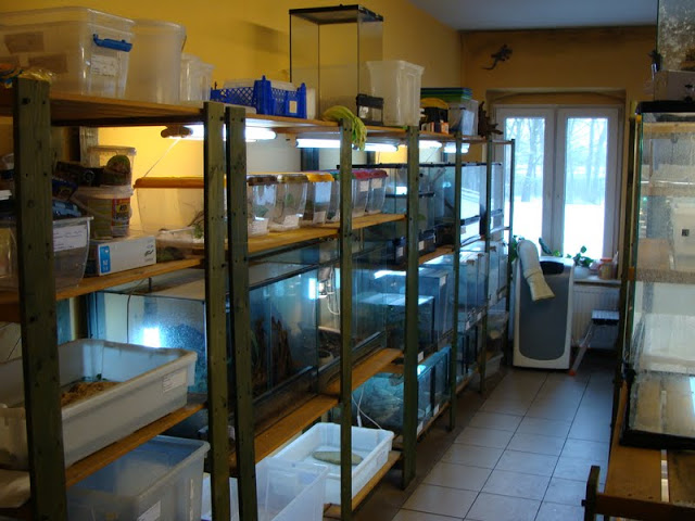 Containers of reptiles on the back