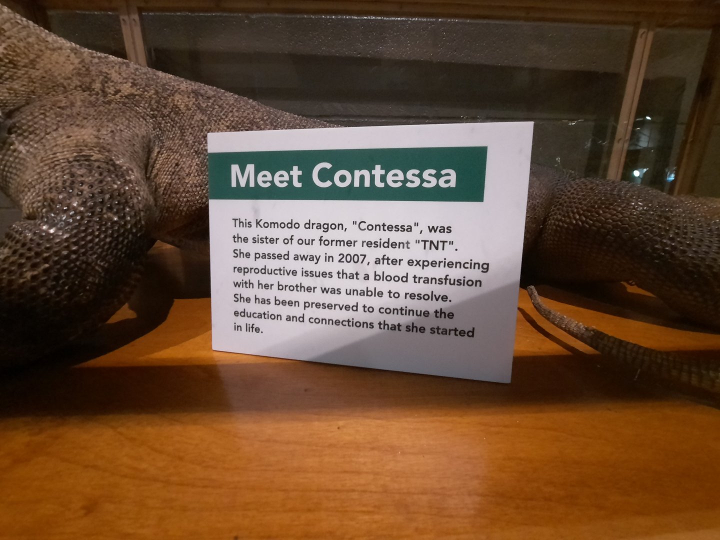 Contessa Sign