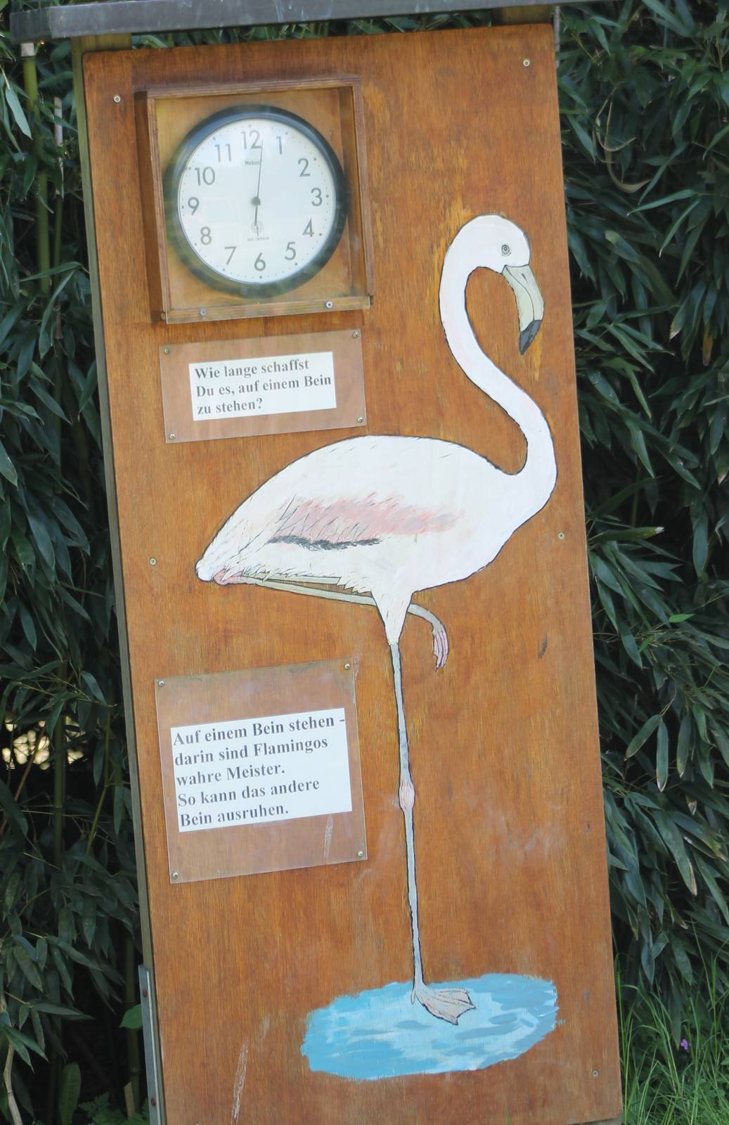 Contest-clock - how long can you stand on one leg