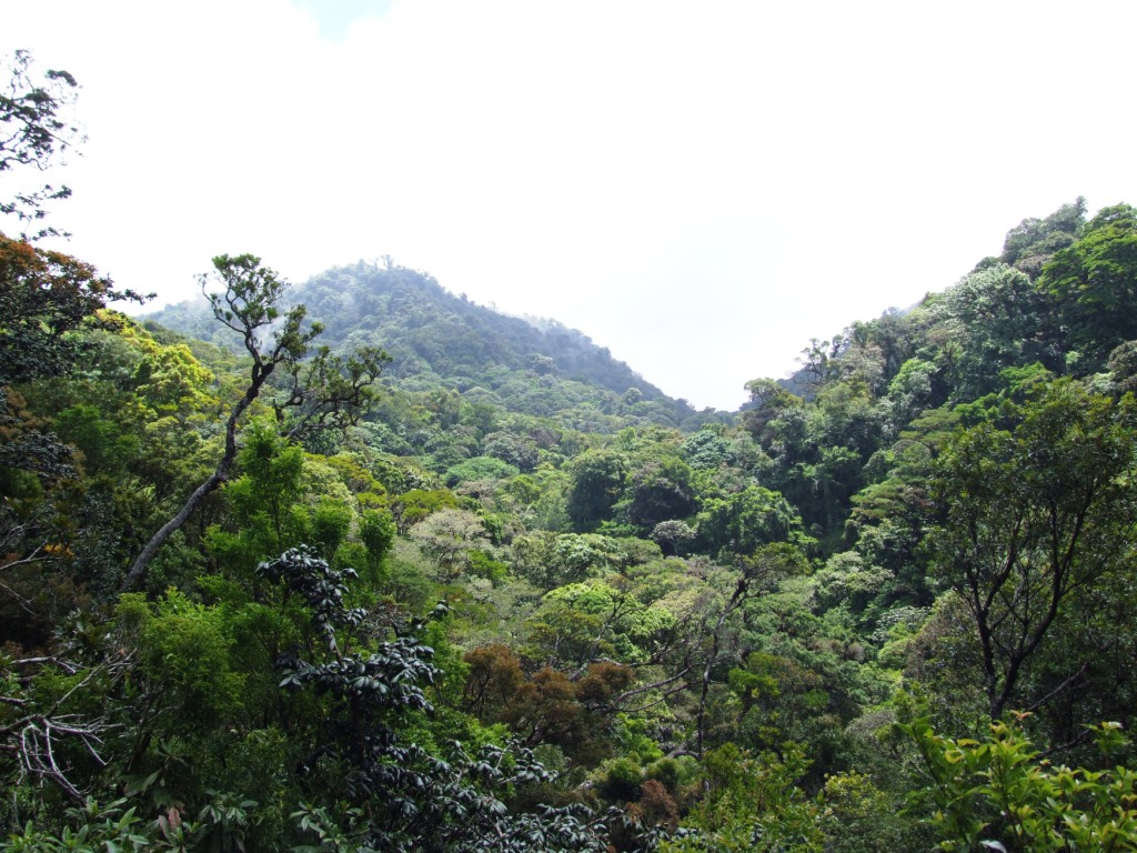 Continental Divide, Monteverde, 20/04/14