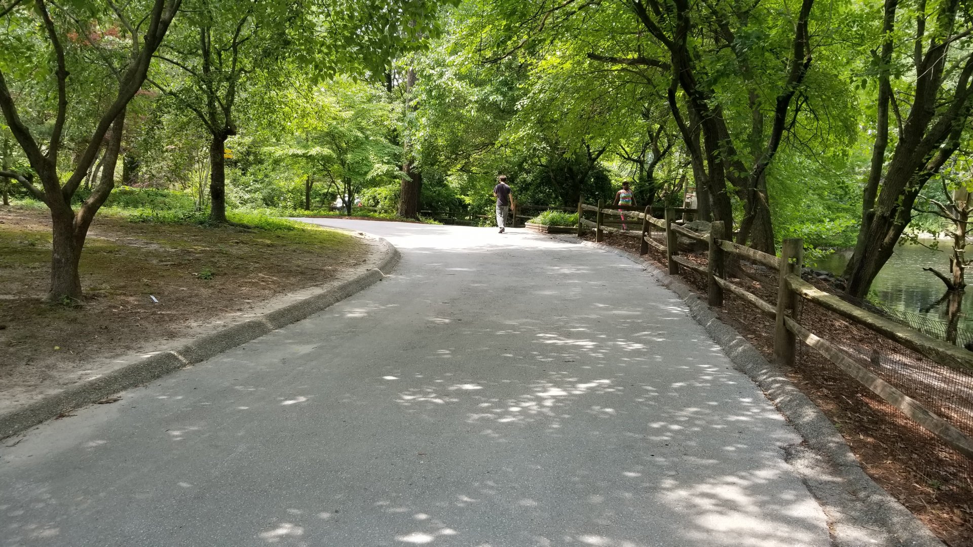 Continuation of main pathway