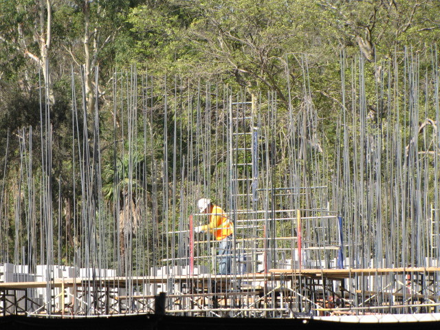 Continued Construction On Pachyderm Forest