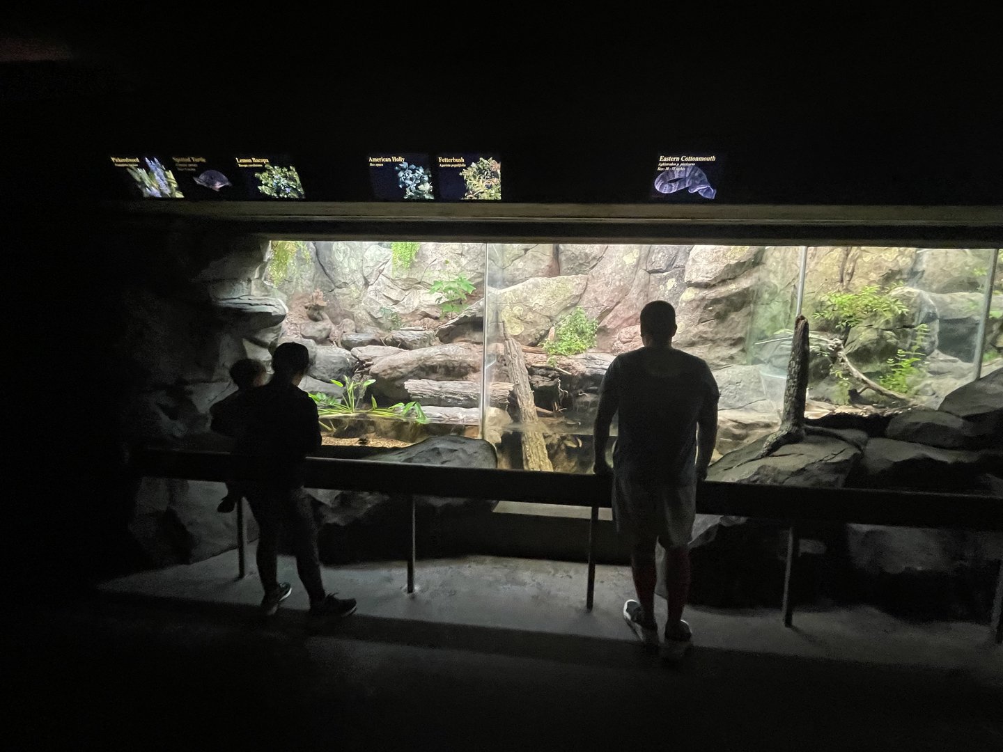 Continued Row of Reptile Enclosures