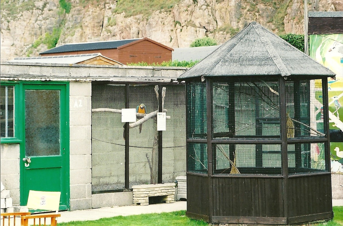 Contrasting aviaries, 5th September 2006