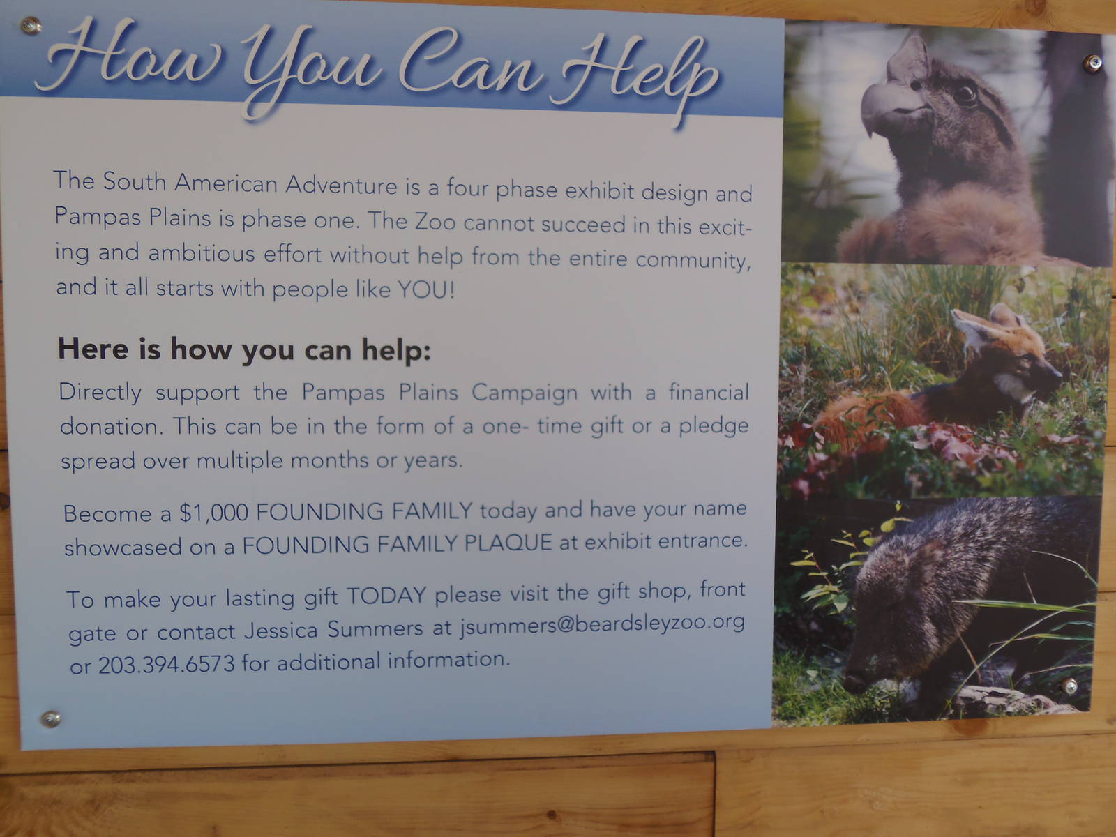 Contributing to Pampas Plains