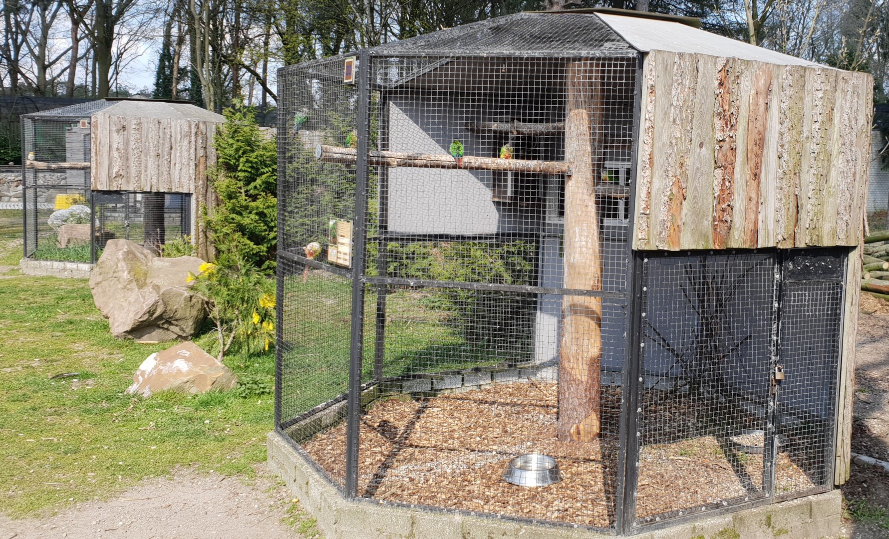 Conure aviaries