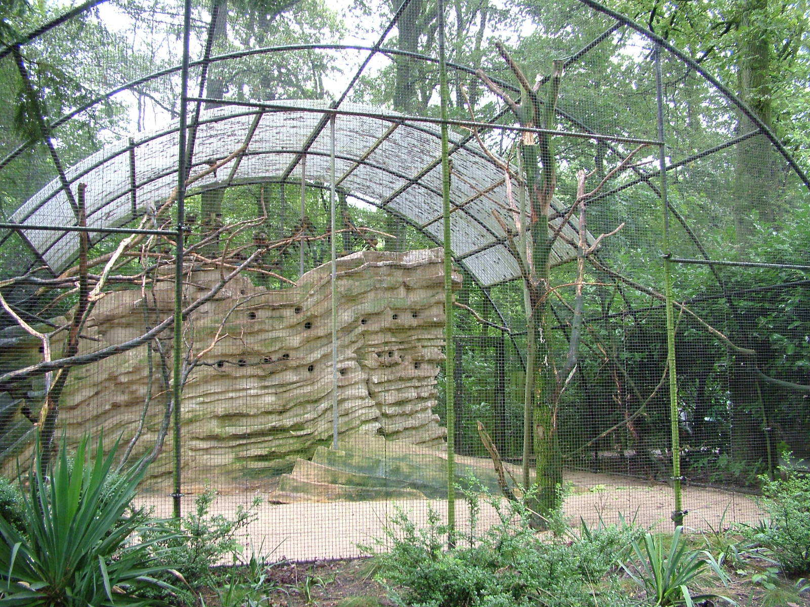 Conure Aviary at Burgers Zoo Arnhem, 29/08/10