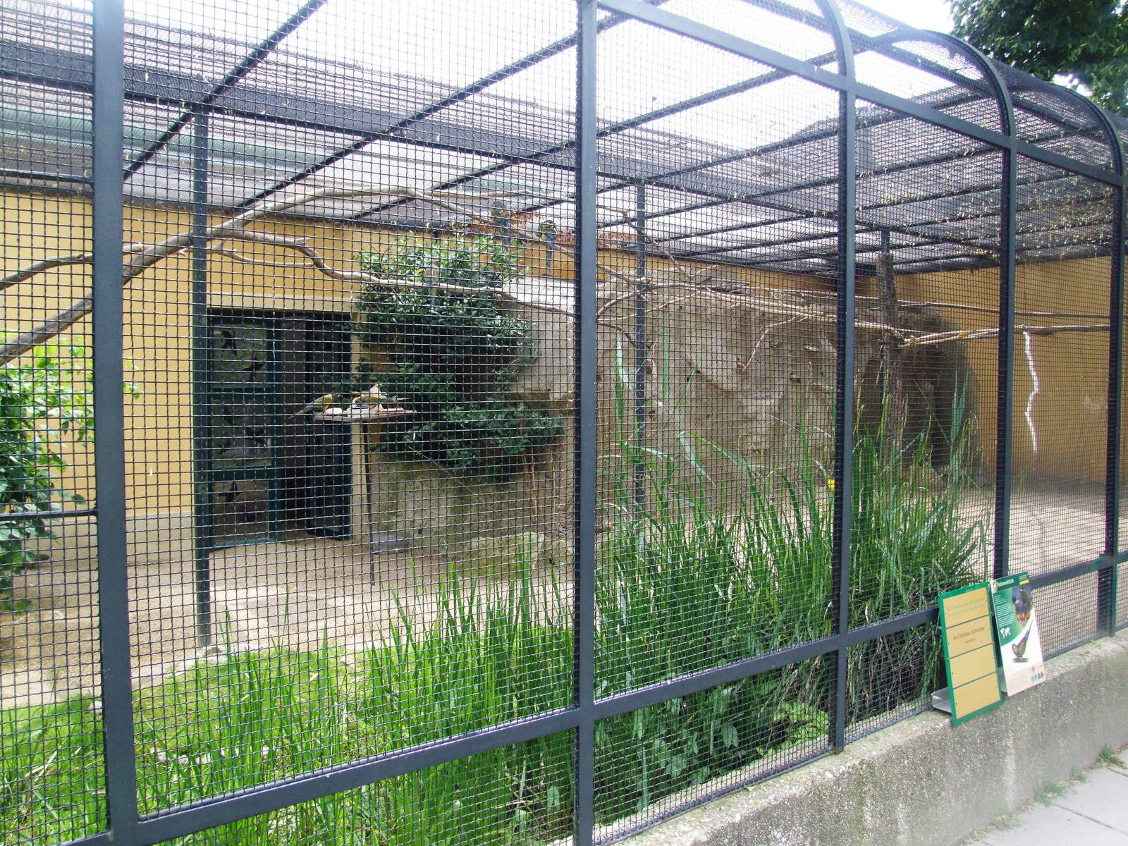 Conure Aviary at Vienna, 14/06/13