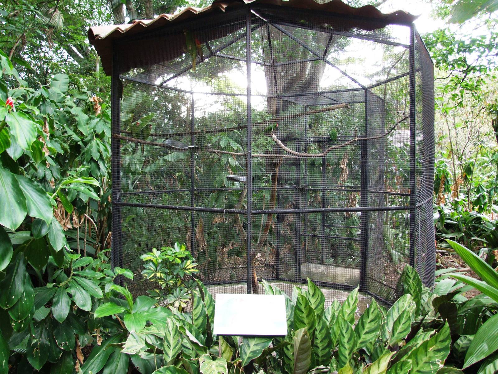 Conure Aviary at Zoo Simon Bolivar, 12/04/14