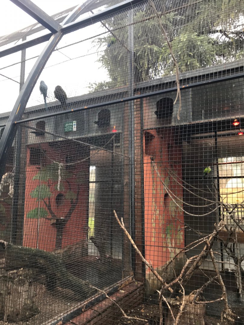 Conure enclosure