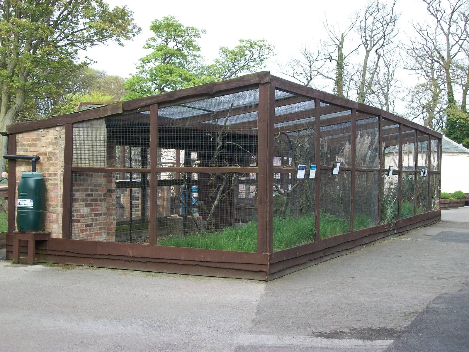 Conure Kingdom and Polytelis Paradise, 4th May 2014