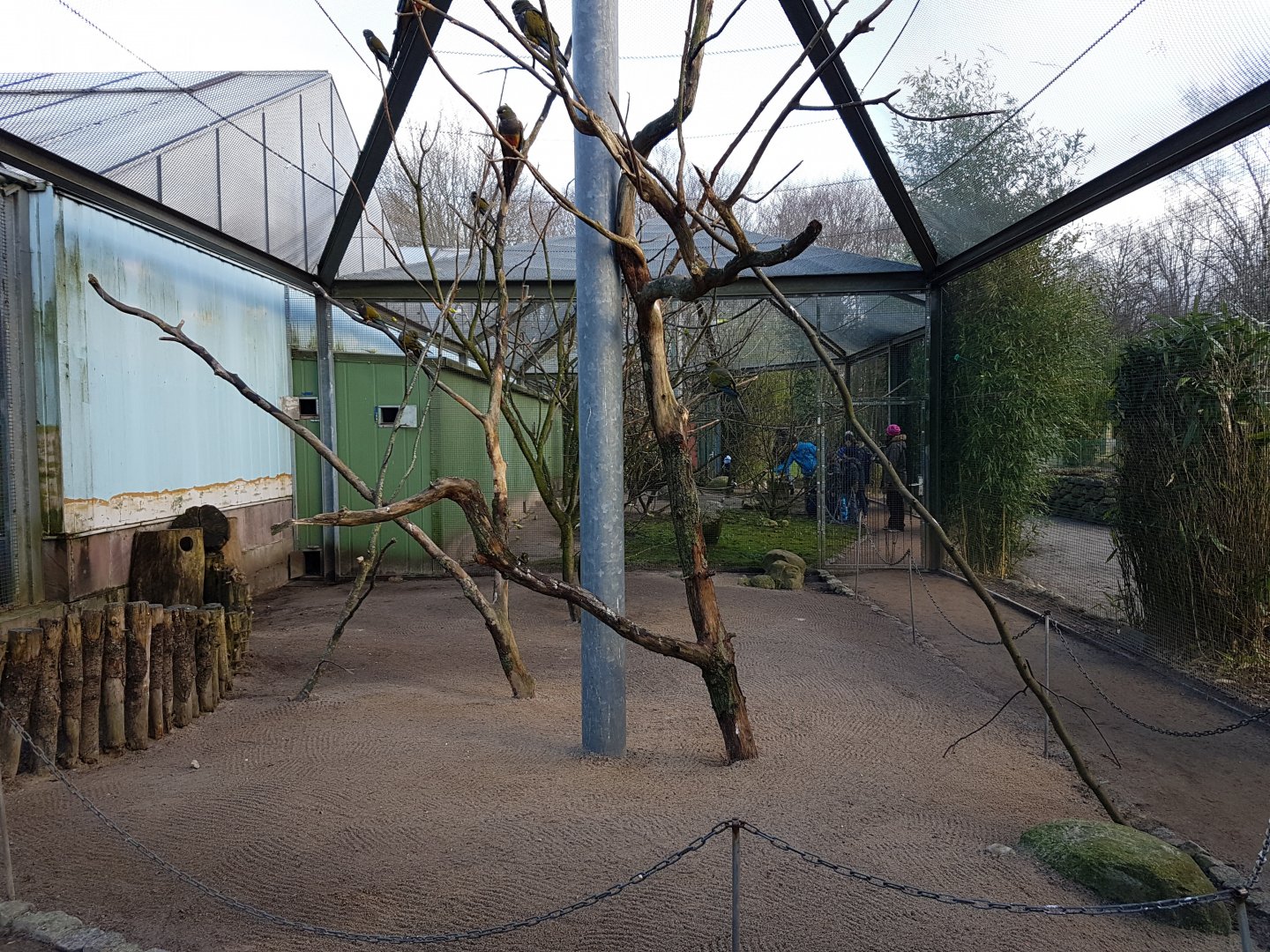 Conure-walk-through aviary