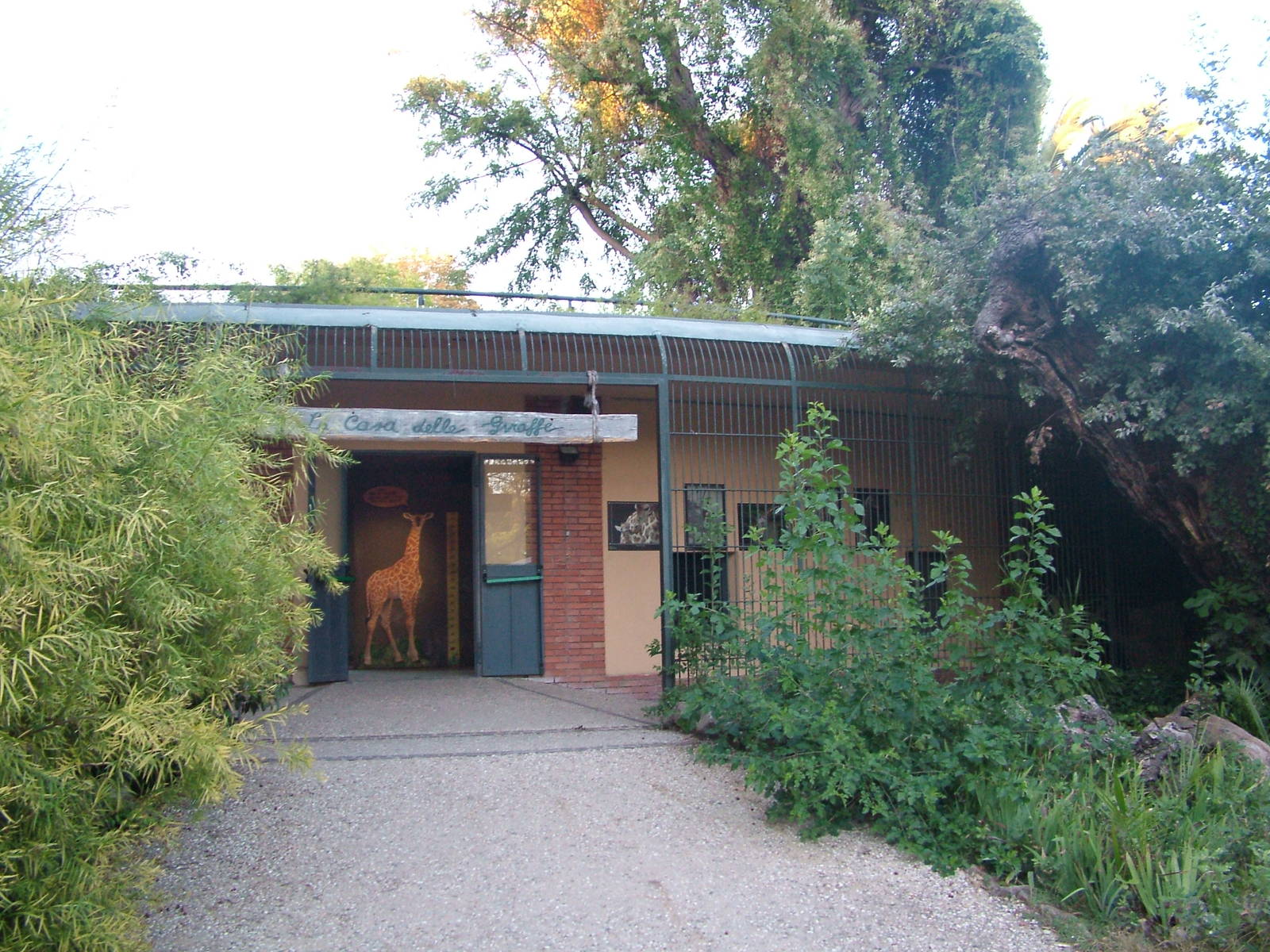 Converted carnivore (?) cages at Bioparco Rome 15/10/09