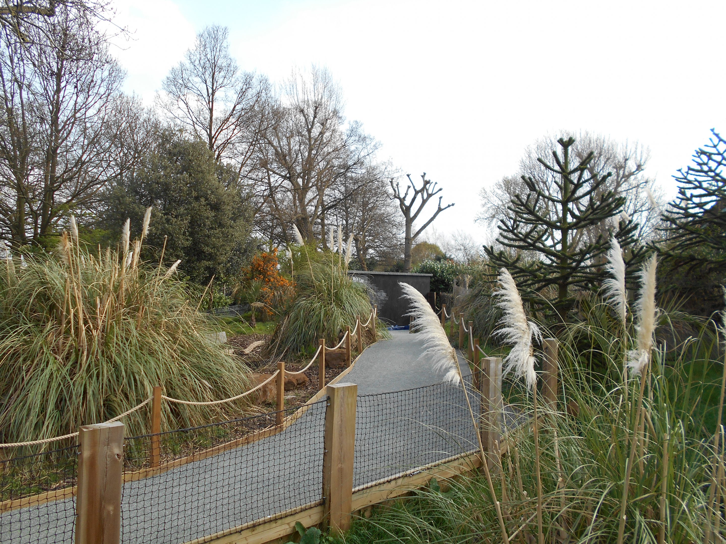 Converted enclosure. 30 March 2019