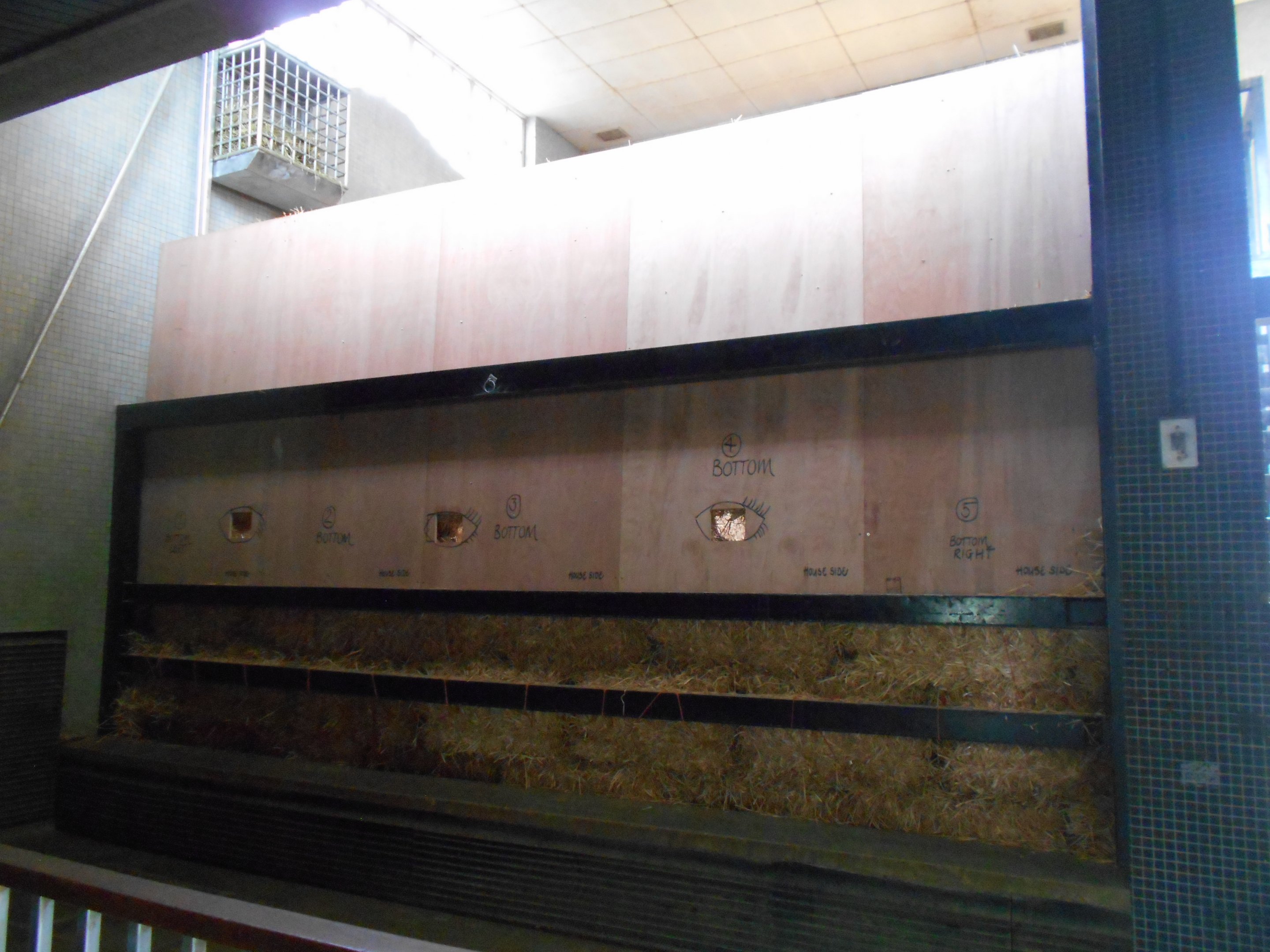 Converted stable, Giraffe House 30 March 2019