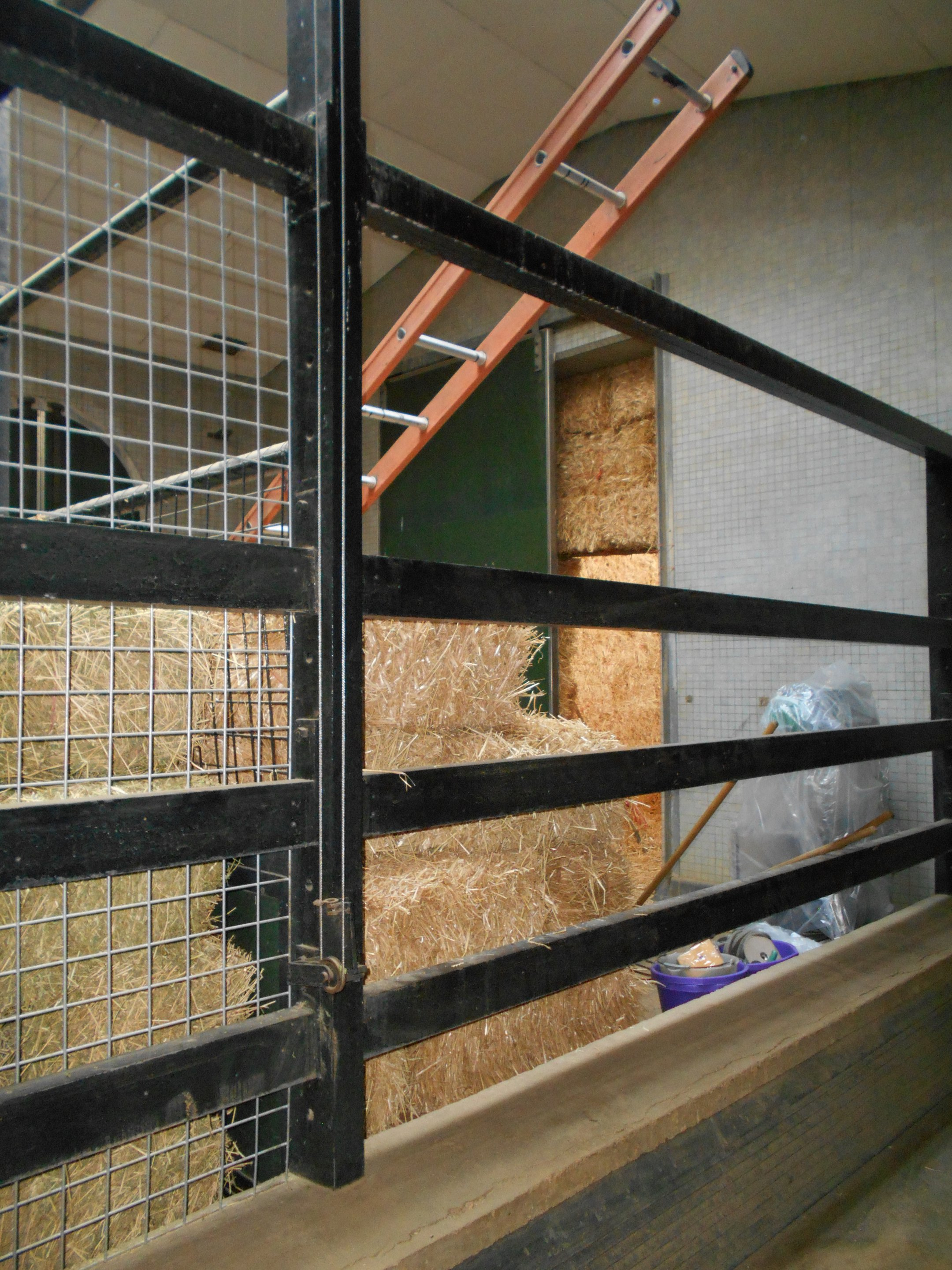 Converted stable, Giraffe House 30 March 2019