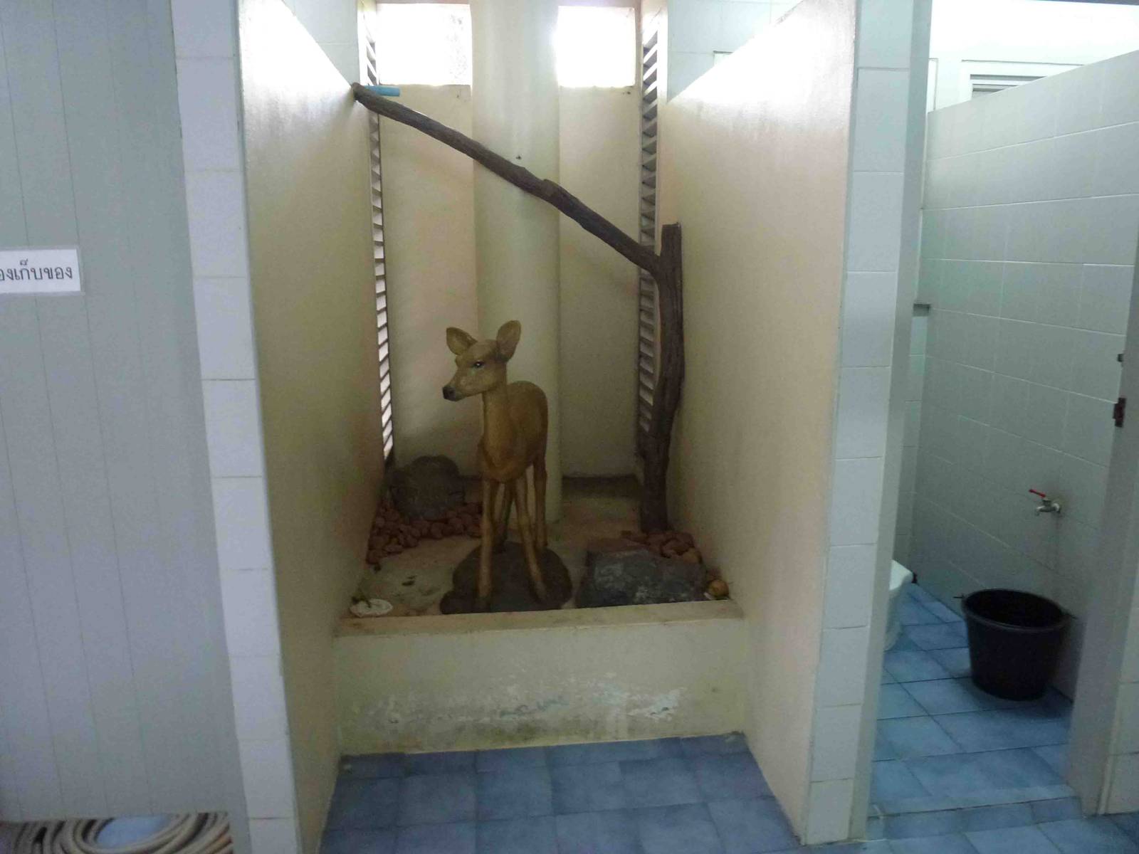 Converted toilet cubicle, July 2013.