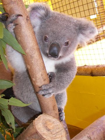 Cooberrie Park Wildlife Sanctuary