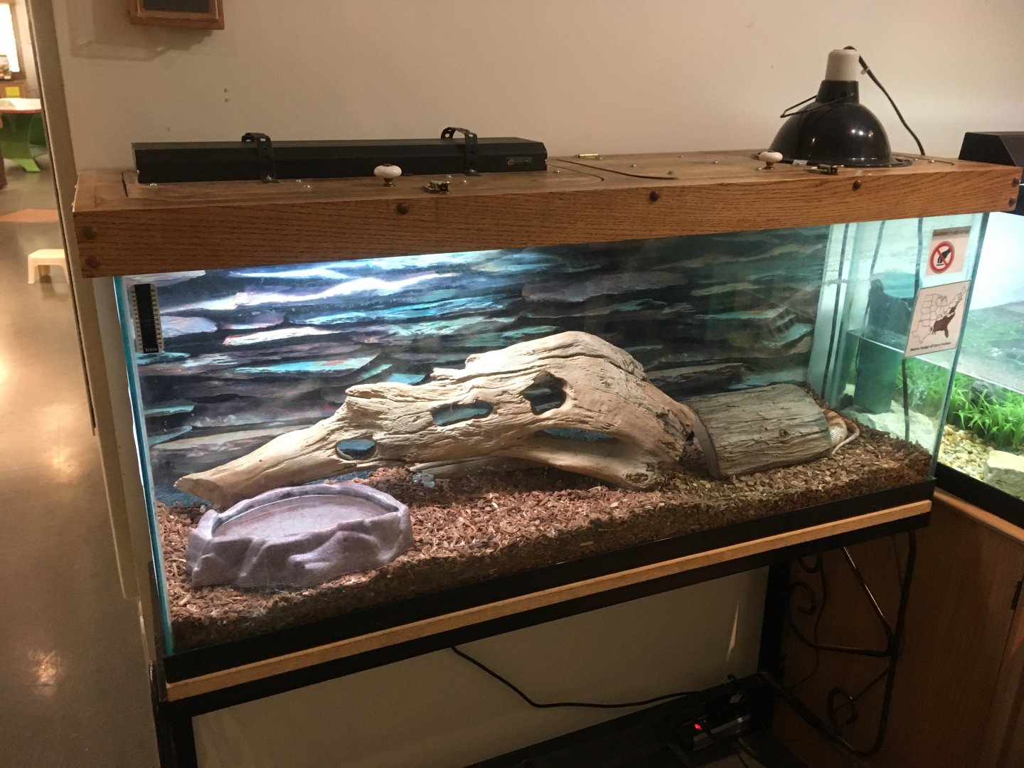 Cool Creek Park Nature Center - Corn Snake Exhibit