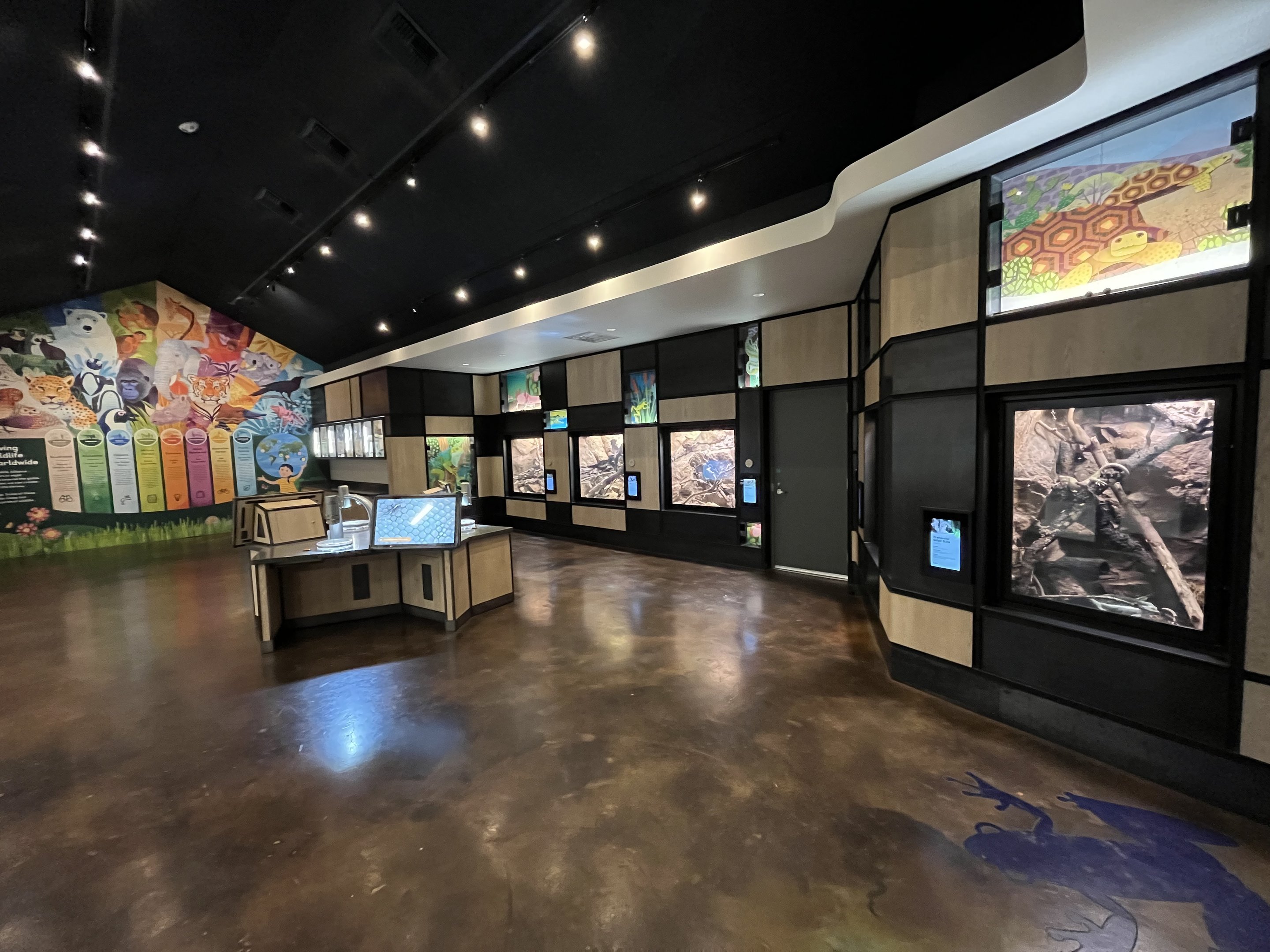 Cool Critters Building