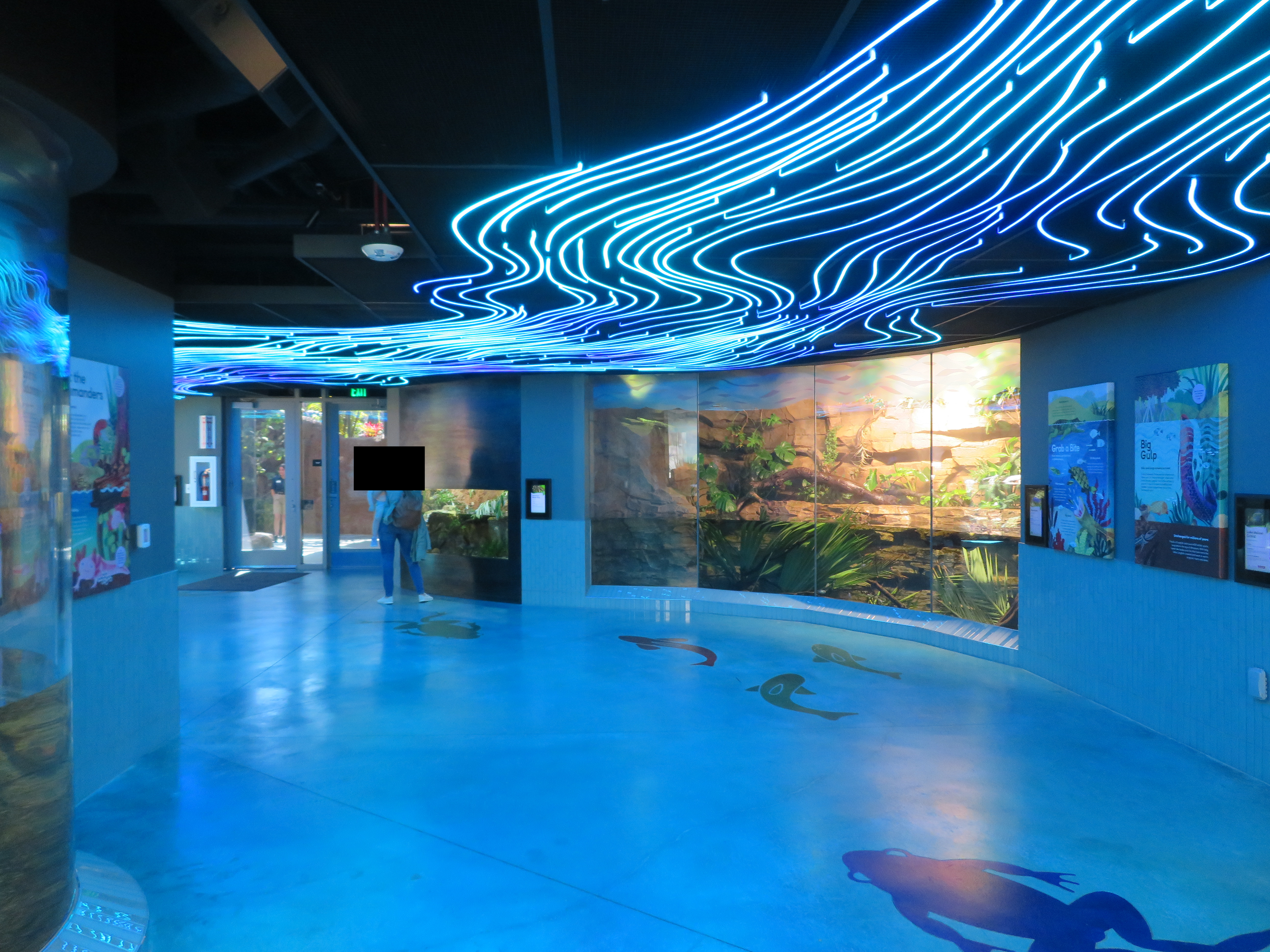 Cool Critters - Lower Floor