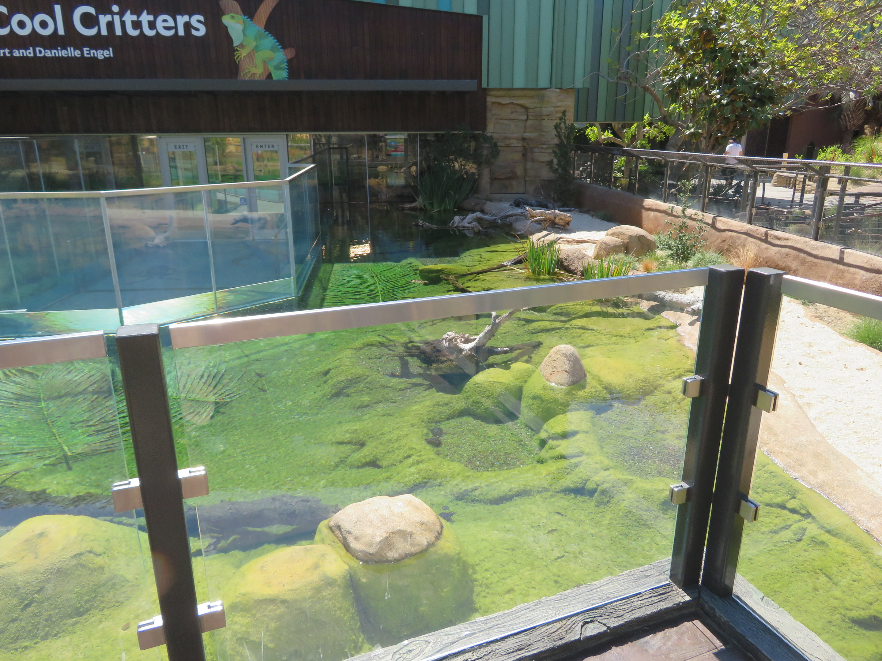 Cool Critters - Outdoor Turtle/Fish Pools