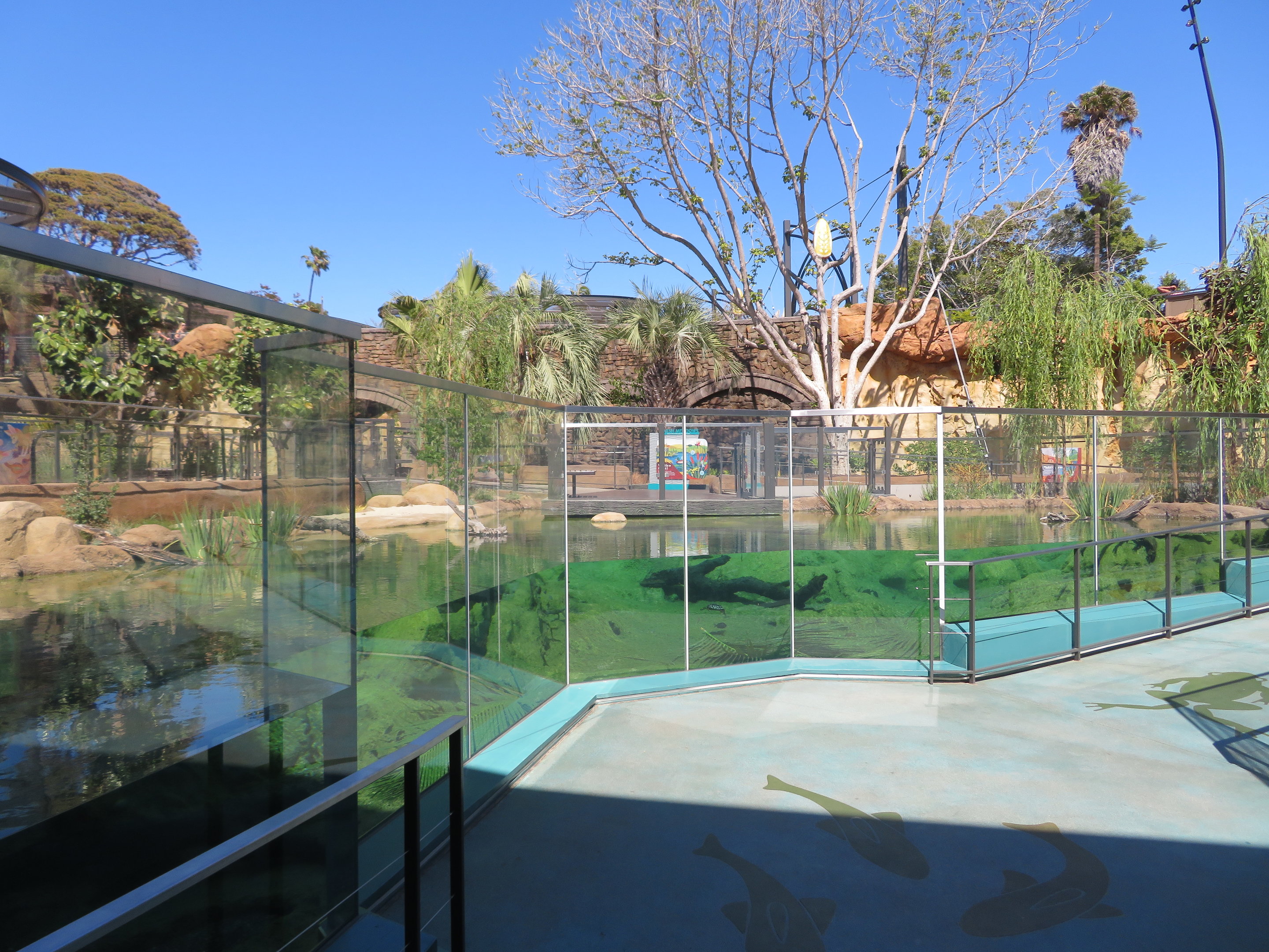 Cool Critters - Outdoor Turtle/Fish Pools