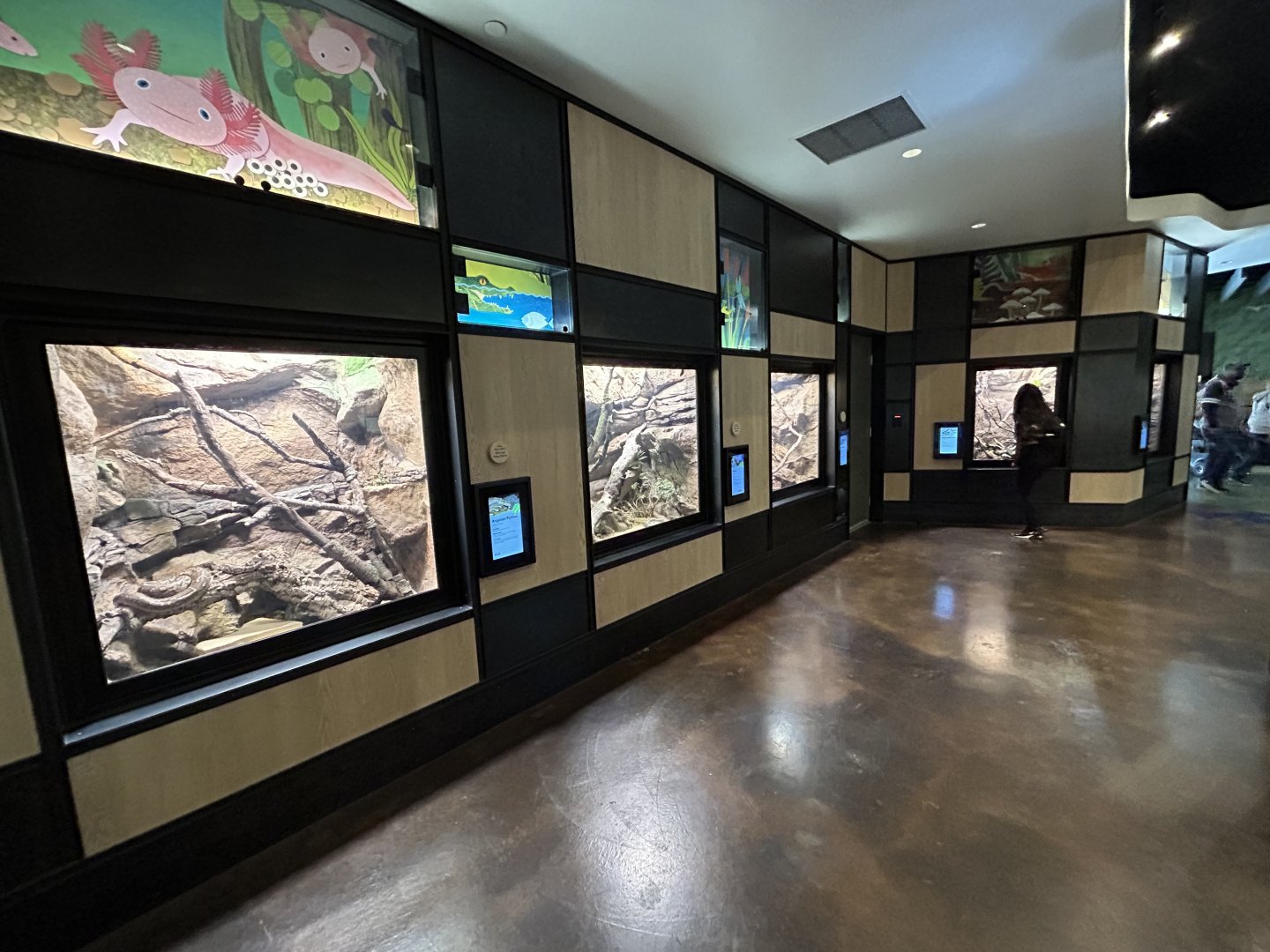 Cool Critters Overview - Wildlife Explorers Basecamp