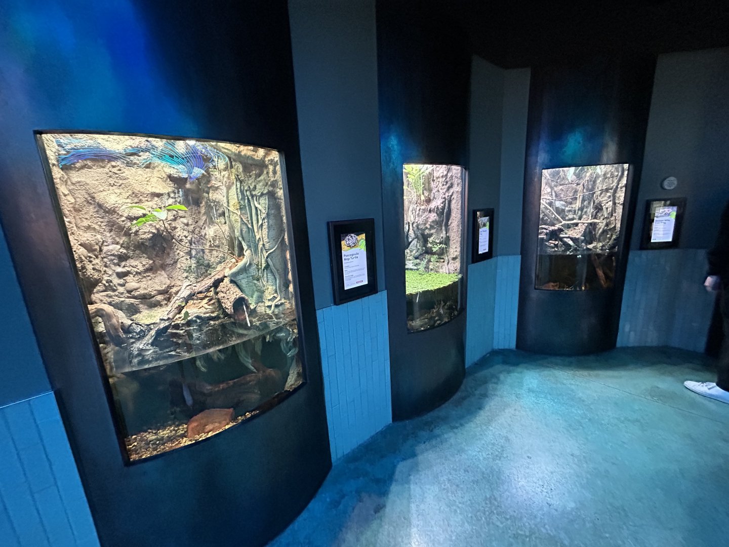 Cool Critters Terrariums - Wildlife Explorers Basecamp