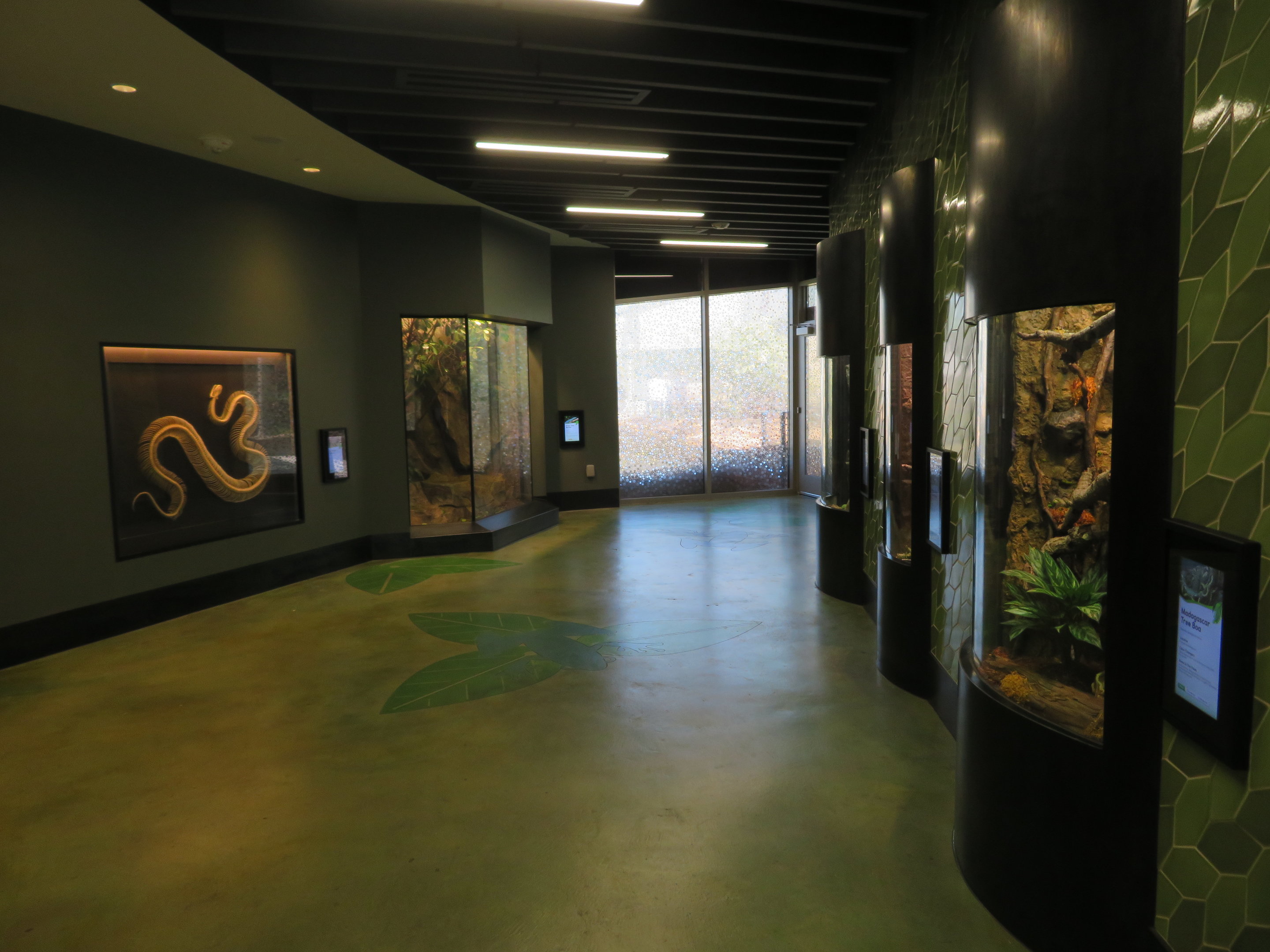 Cool Critters - Upper Floor