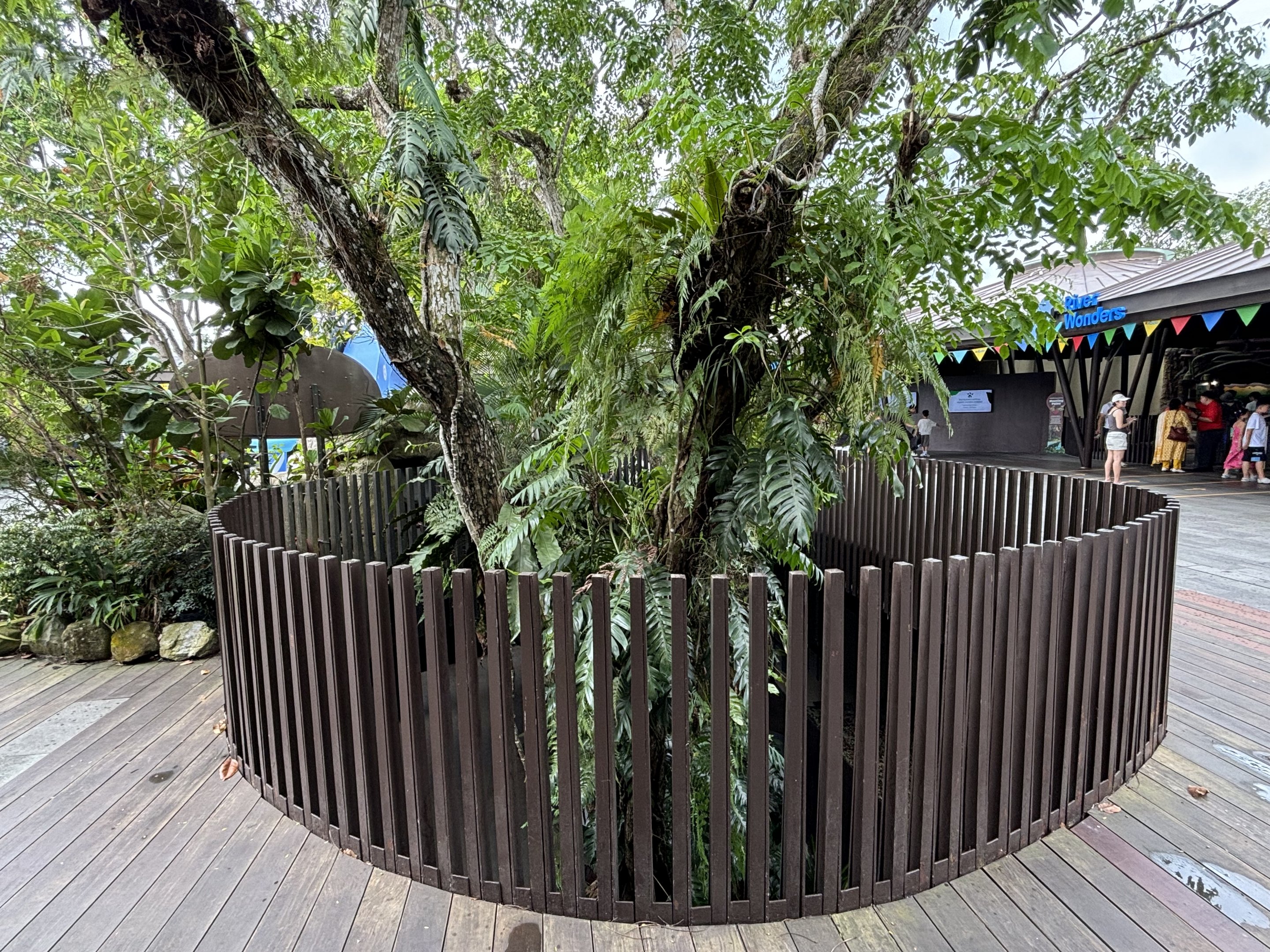 Cool fence around tree canopy