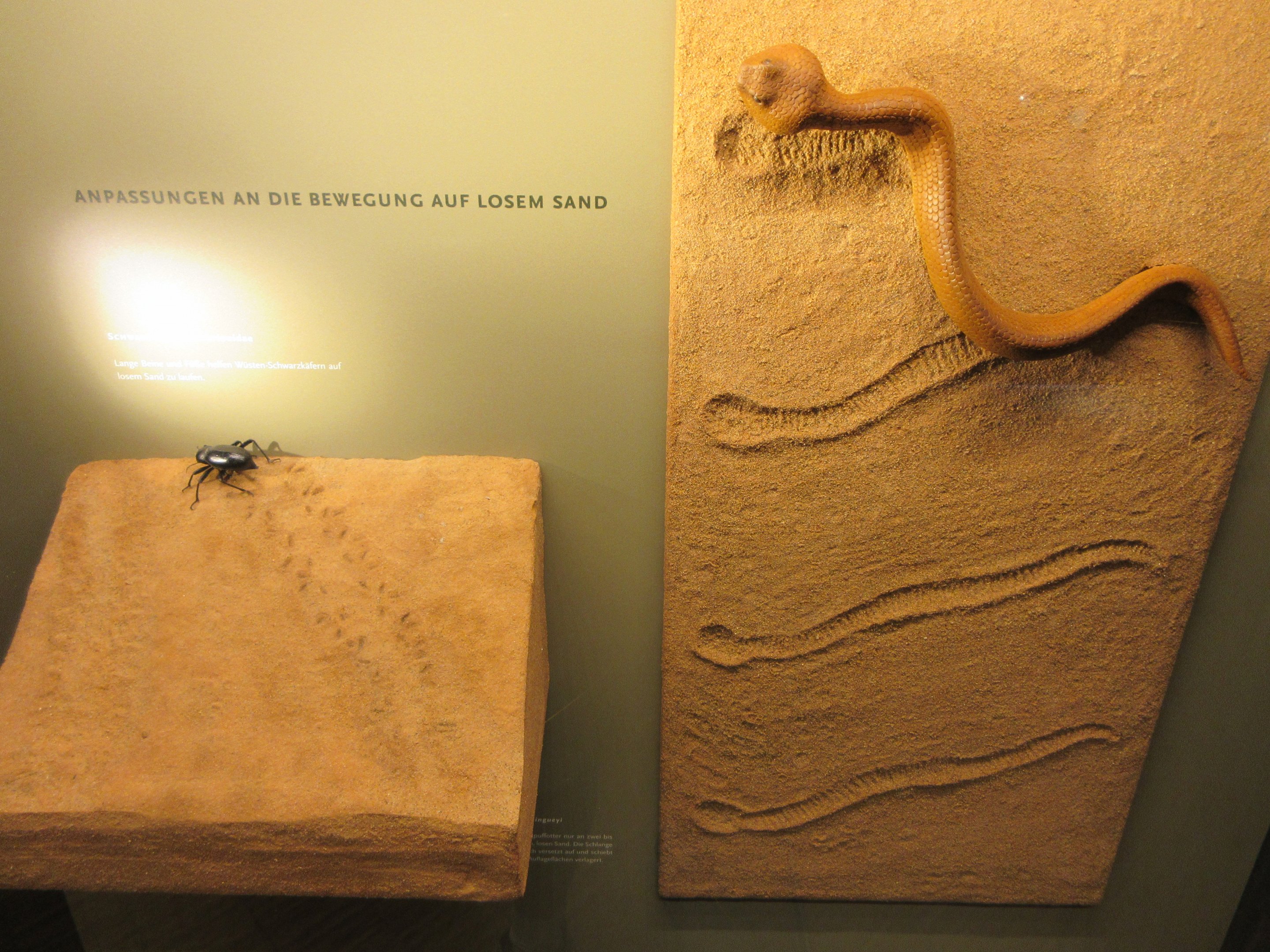 Cool interpretative material