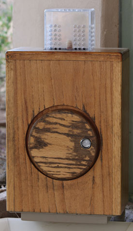 cool rattlesnake display