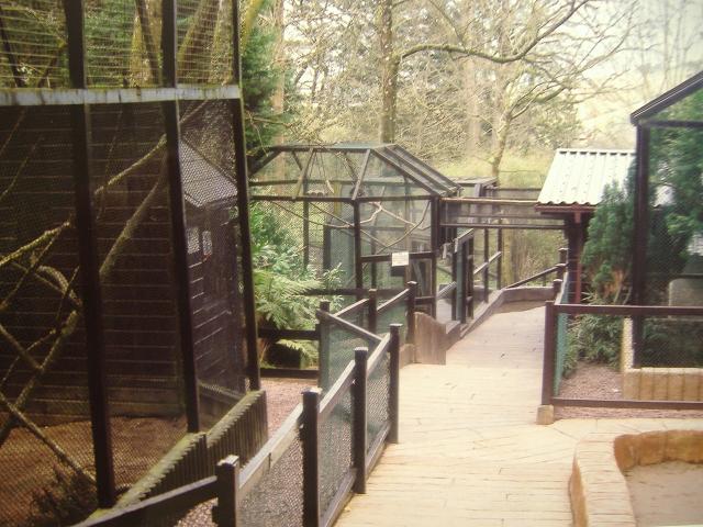 Coombe Martin monkey cages