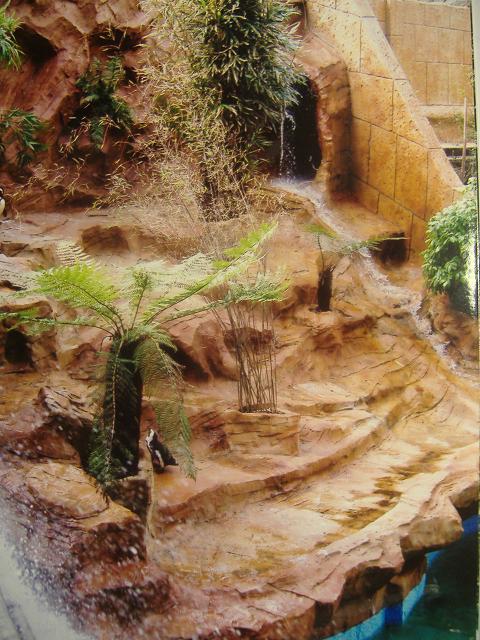 Coombe Martin Penguins