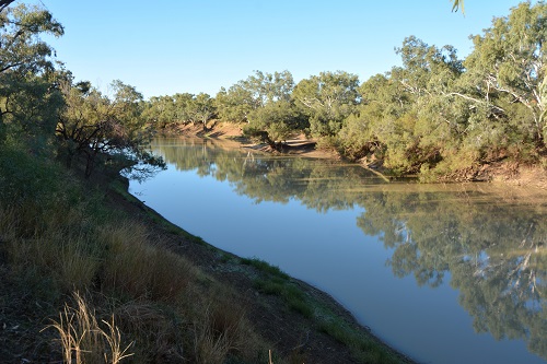 Coopers creek 2