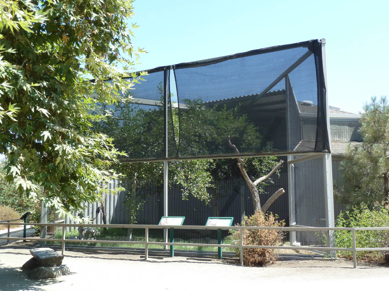 Cooper's Hawk/Barn Owl/Long-Eared Owl Exhibit